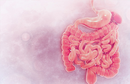 Gut Microbiome Shotgun Sequencing Home Test Kit UK