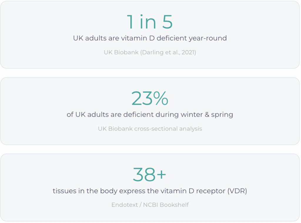 Vitamin D & Hormones: The Missing Link on Every Hormone Test 340-screenshot-2026-05-05-at-213341.png
